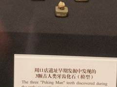 -北京周口店北京人遗址博物馆