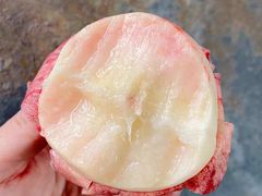 -老袁家蜜桃农场·阳山水蜜桃