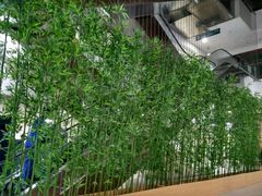 -首都医科大学附属北京潞河医院