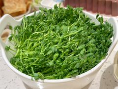 活体豆苗-三人行骨头王火锅(长寿店)