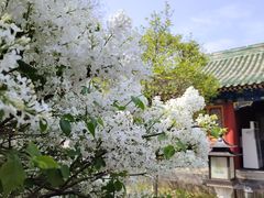 -恭王府博物馆