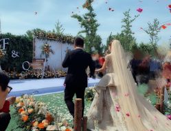 -保定金沙芝柏婚礼策划