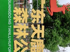 -天鹿湖森林公园