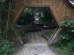 -紫竹院公园冰场