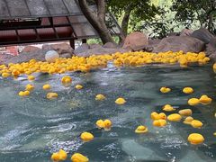 -湖泉半山温泉