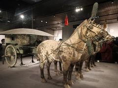 -秦始皇帝陵博物院-丽山园