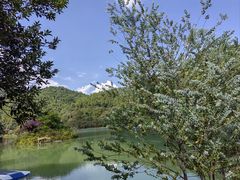 -广州白江湖森林公园