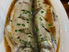 清蒸鲜白鱼-西新饭店(城中店)