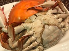 -北塘海鲜·天津菜(大光明桥旗舰店)
