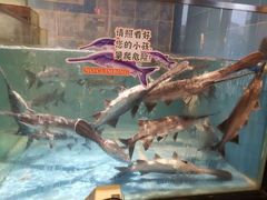 -漓江又一軒·广西菜·桂林米粉(梅林店)