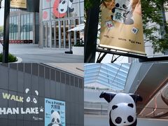 -东莞松山湖万象汇