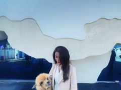 -Blue Concept Cafe&Farm·關於藍