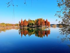 -贡湖湾湿地公园