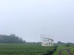 -雪绿茶博物馆