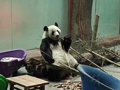 -青藏高原野生动物园