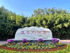 -莲花池公园
