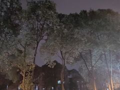 -四川大学(望江校区)