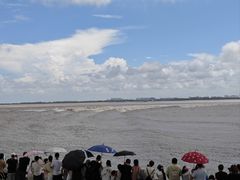 -观潮胜地公园