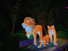 -北京欢乐谷