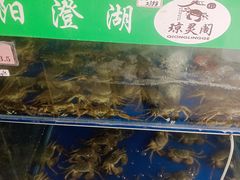 -阳澄湖大闸蟹·琼灵阁牌品牌连锁(吴中总店)