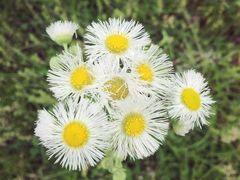 -华东政法大学(松江校区)