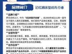 -红星美凯龙(上海沪南店)