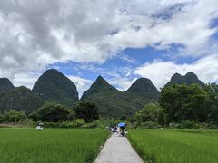 -村上春树