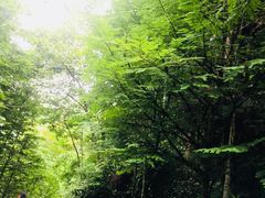 -中铁花水湾四季温泉谷