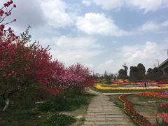 -秀丽东方
