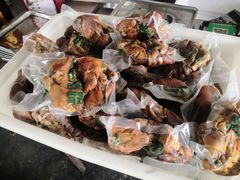 -佰运猪蹄(高陵店)