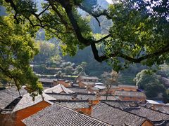 -杨家堂村