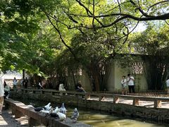 -西园戒幢律寺