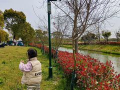 -嘉北郊野公园