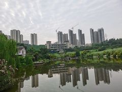 -张坝桂圆林公园