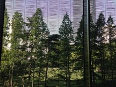 二楼餐厅-上海璞麗酒店