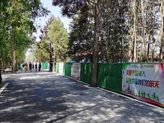 -东平国家森林公园