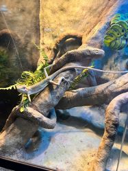 -酷嗒动物文化乐园(cutezoo西溪乐天城店)