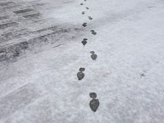-慕田峪长城