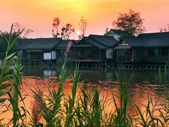 -西溪国家湿地公园