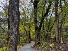 -三块石国家森林公园