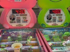 -长白岛森林公园