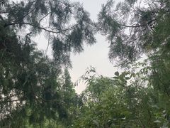 -云龙山