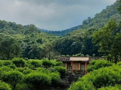 -广州市石门国家森林公园