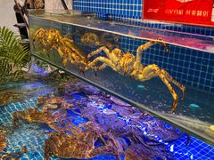 -驻海渔市(置信店)