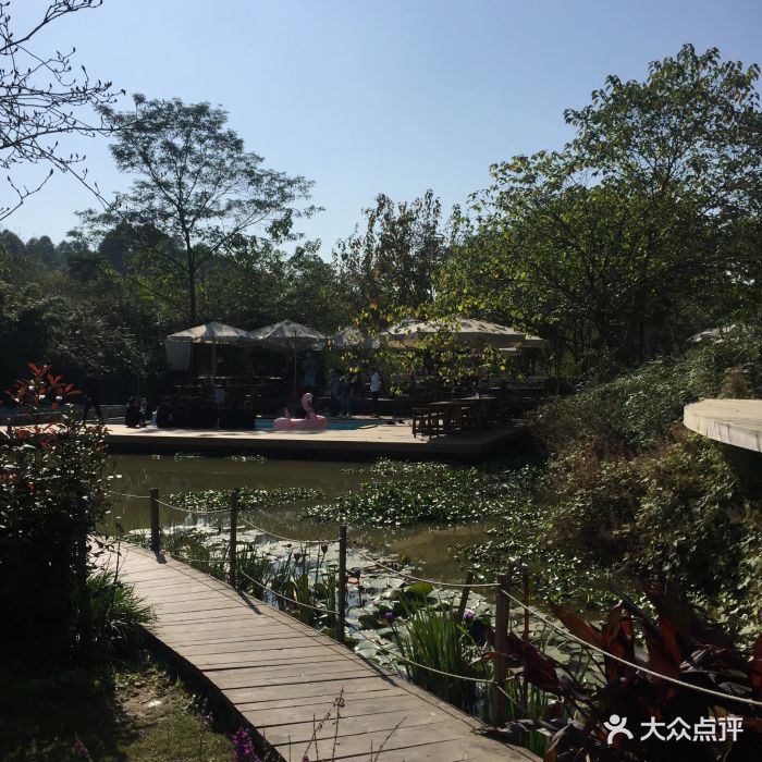 百花深处-图片-成都美食-大众点评网