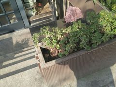 -鹿港小镇经典老上海菜(长乐路店)
