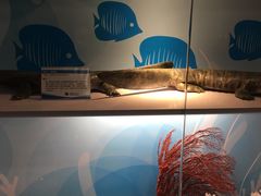-常州海昌海洋探索馆