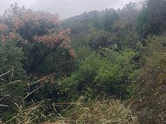 -潭溪山