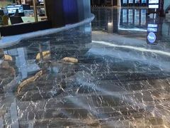 -海悦御华大酒店·中餐厅