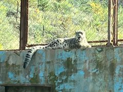 -青藏高原野生动物园